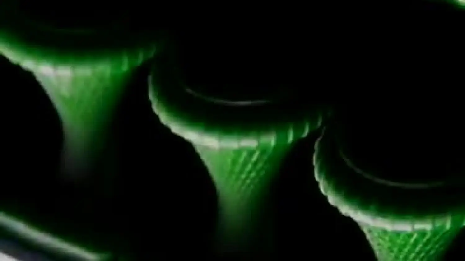 your-facebook-video-fbdown-net.mp4