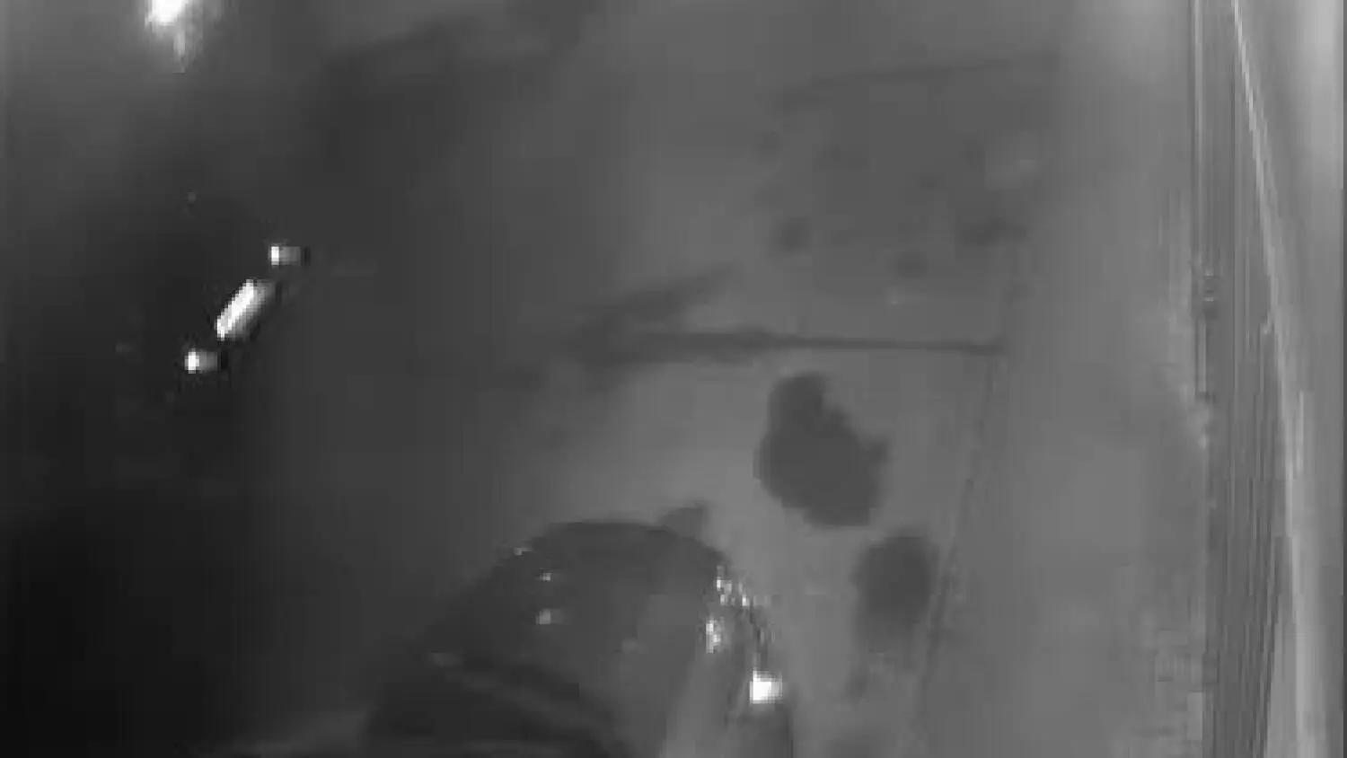 135564278-102739381708026-7571325660138092738-n.mp4