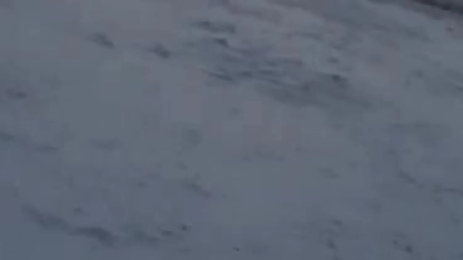 video-1610981299.mp4