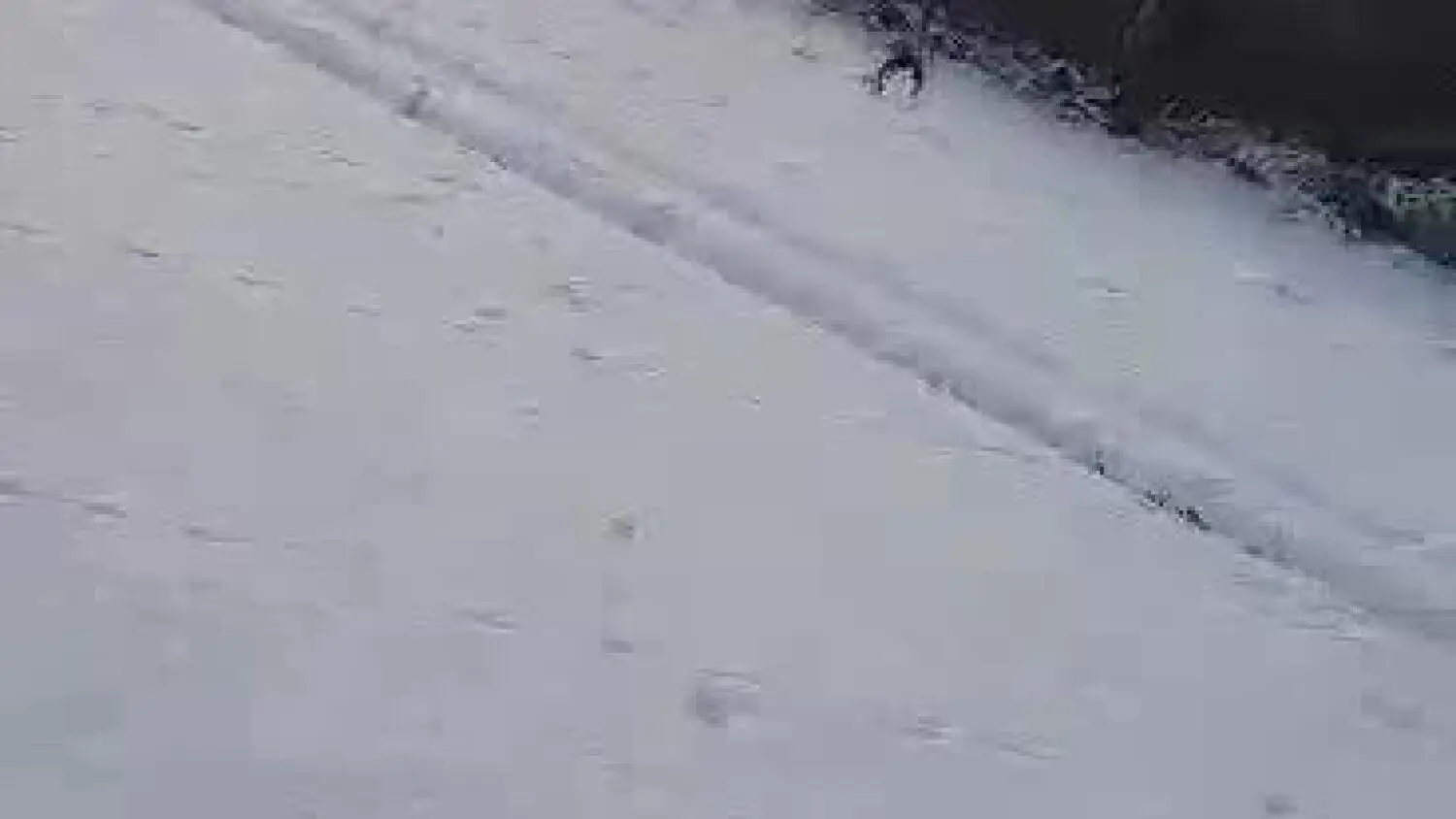 video-1610981288.mp4