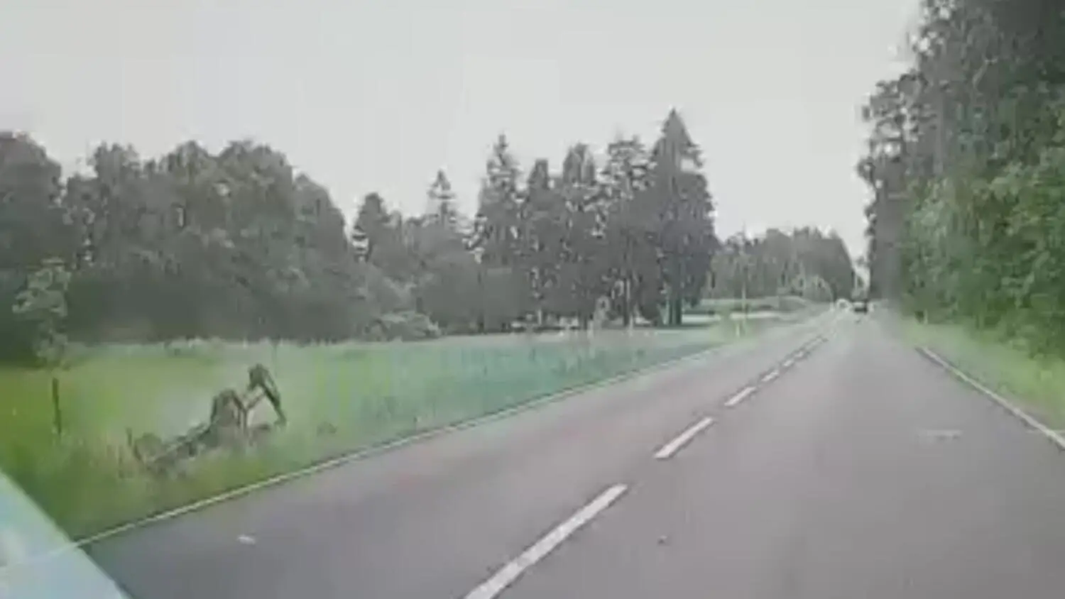 271-127229.mp4