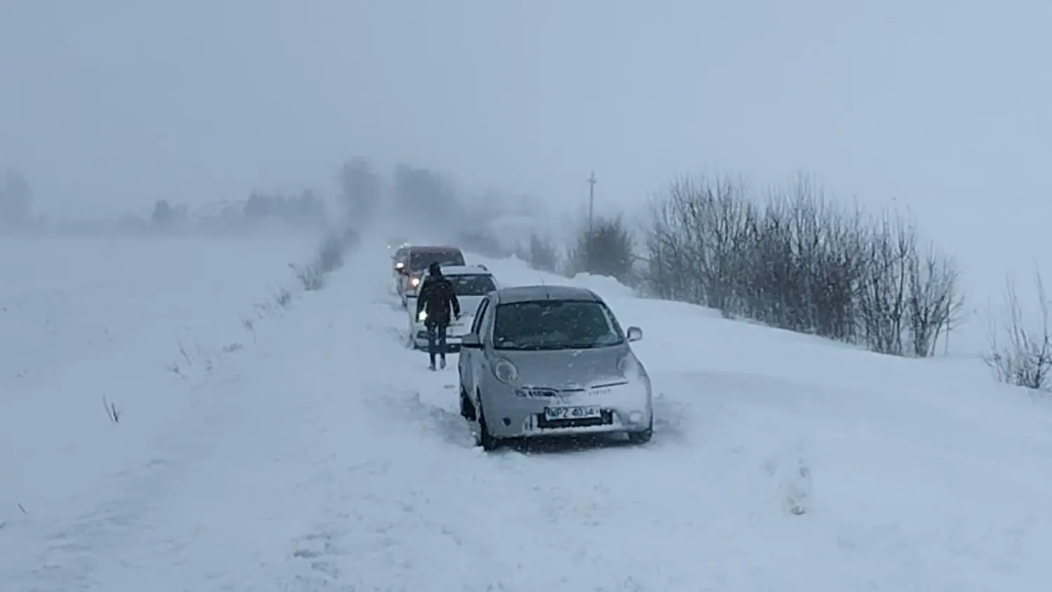 vid-20240120-142131.mp4