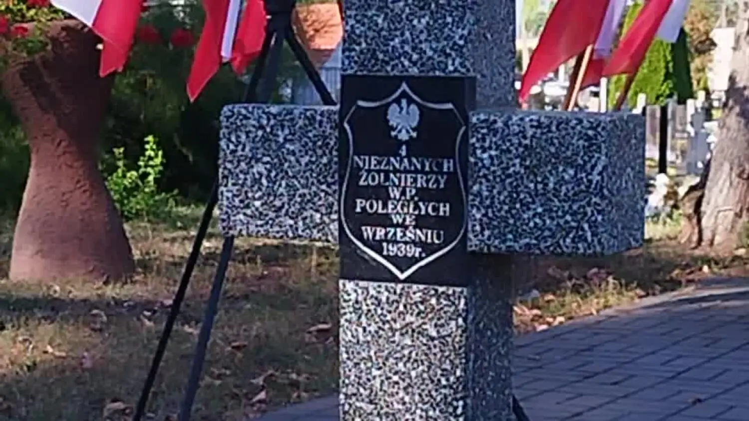 vid-20240901-154113.mp4
