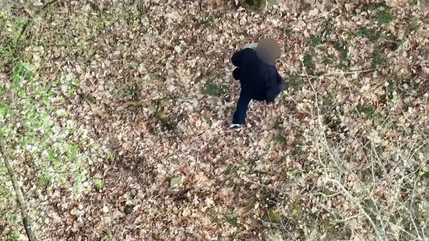 279-213321.mp4